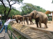 Ho Chi Minh zoo